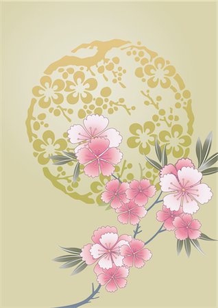 flower pattern - flower pattern Stock Photo - Premium Royalty-Free, Code: 690-03475865