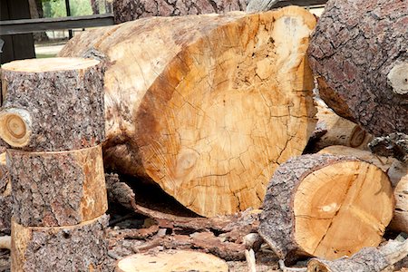 Billes en bois hachés Photographie de stock - Premium Libres de Droits, Code: 693-05794394