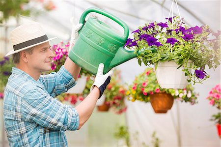 Side view of middle-aged man watering flower plants in greenhouse Stock Photo - Premium Royalty-Free, Code: 693-07912860