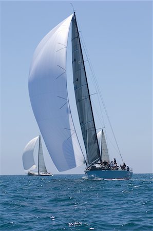 sailboat  ocean - Yachts compete in team sailing event, California Stock Photo - Premium Royalty-Free, Code: 693-03314239