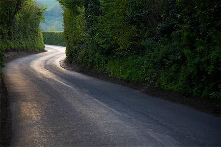 enigma - Curving Country Road Through Thick Forest Stock Photo - Premium Royalty-Free, Code: 693-03313135