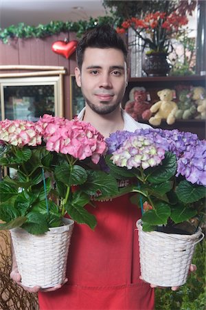 Florist stands with two hydrangea Stock Photo - Premium Royalty-Free, Code: 693-03782734