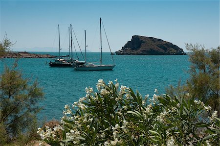 flowers greece - Anchord Yachts in Bay, Komito, Syros, Greece Stock Photo - Rights-Managed, Code: 700-04163436