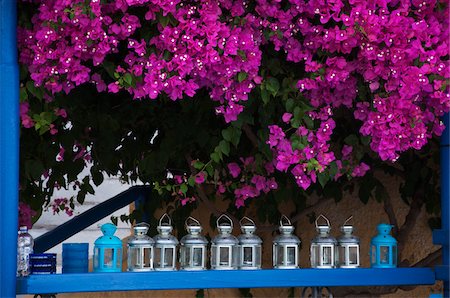 flowers greece - Row of Lanterns Beneath Purple Bougainville Stock Photo - Rights-Managed, Code: 700-04425014