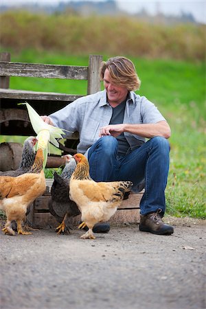 fowl - Man Feeding Chickens Stock Photo - Rights-Managed, Code: 700-04931666