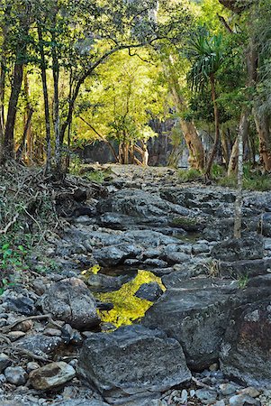 Cedar Creek, Whitsunday Coast, Queensland, Australia Stock Photo - Rights-Managed, Code: 700-05609698