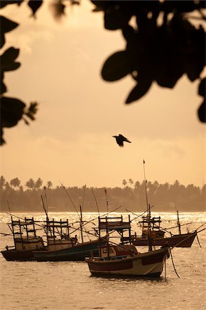 simsearch:700-07784163,k - Fishing Boats, Galduwa, Sri Lanka Stock Photo - Rights-Managed, Code: 700-05642153