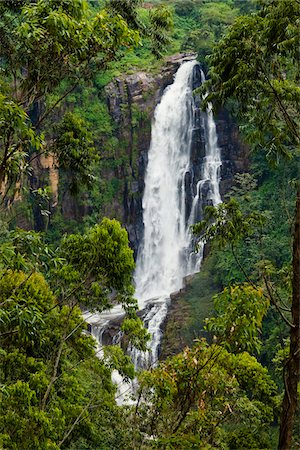 rainforest and water scenes - Devon Falls, Nuwara Eliya District, Central Province, Sri Lanka Stock Photo - Rights-Managed, Code: 700-05642228