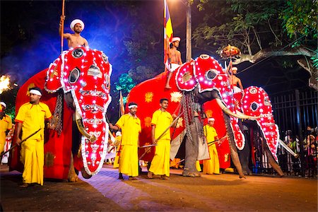 sri lankan elephant - Procession of Elephants, Esala Perahera Festival, Kandy, Sri Lanka Stock Photo - Rights-Managed, Code: 700-05642340