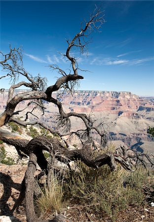 View of Grand Canyon, Arizona, Usa Stock Photo - Rights-Managed, Code: 700-05662429