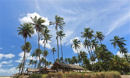 simsearch:700-05810218,k - Thatched Roof Huts and Palm Trees, Praia de Tabatinga, Paraiba, Brazil Stock Photo - Rights-Managed, Code: 700-05810234