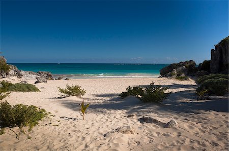 plants in mexico - Beach at Tulum, Mayan Riviera, Quintana Roo, Mexico Stock Photo - Rights-Managed, Code: 700-05855008