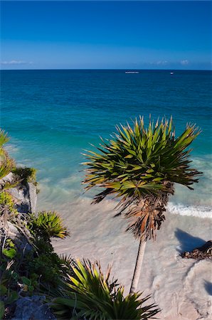 Beach at Tulum, Riviera Maya, Quintana Roo, Mexico Stock Photo - Rights-Managed, Code: 700-05855017