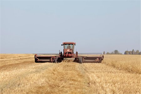 prairie crops and farm - Harvesting Oats, Starbuck, Manitoba, Canada Stock Photo - Rights-Managed, Code: 700-05973207