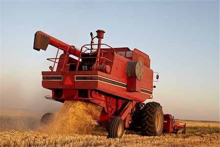 Axial-Flow combine la récolte de blé dans le champ, Starbuck, Manitoba, Canada Photographie de stock - Rights-Managed, Code: 700-05973572