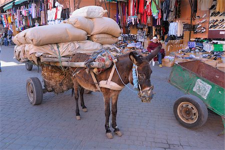 Donkey with Cart, Marrakech, Morocco Stock Photo - Rights-Managed, Code: 700-06038026