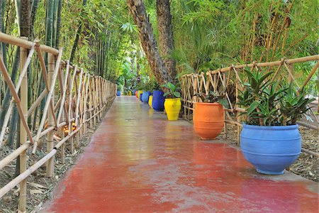 simsearch:600-03004987,k - Foot Path in Jardin Majorelle, Marrakech, Morocco Stock Photo - Rights-Managed, Code: 700-06038048