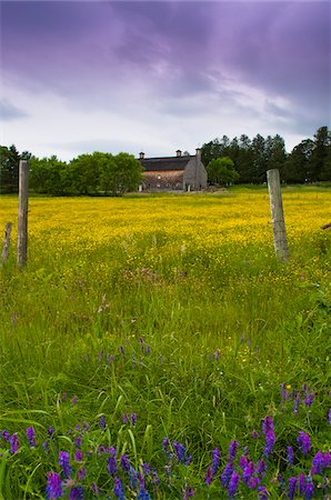 quebec scenic - Barn, Sutton, Eastern Townships, Quebec, Canada Stock Photo - Rights-Managed, Code: 700-06059677