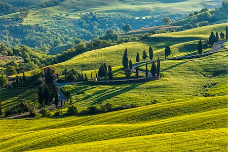 Winding Road, Monticchiello, Val d ' Orcia, Provinz Siena, Toskana, Italien Stockbilder - Lizenzpflichtiges, Bildnummer: 700-06368145