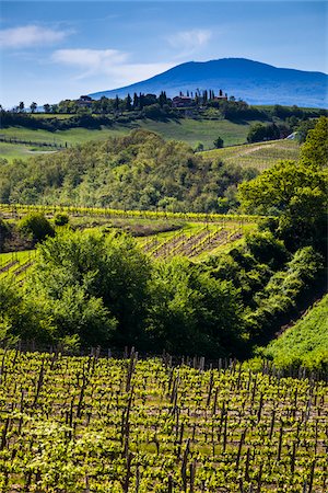 Montalcino, Val d'Orcia, Province of Siena, Tuscany, Italy Stock Photo - Rights-Managed, Code: 700-06407798