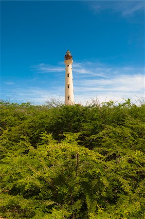 simsearch:600-06431260,k - California Lighthouse and Dense Tree Tops, near Arashi Beach, Aruba, Lesser Antilles, Dutch Antilles Photographie de stock - Rights-Managed, Code: 700-06439082