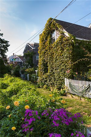 simsearch:700-06431219,k - Houses, Provincetown, Cape Cod, Massachusetts, USA Stock Photo - Rights-Managed, Code: 700-06439118