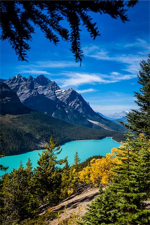 rocky mountains north america - Overview of Peyto Lake as seen from Bow Summit, Banff National Park, Alberta, Canada Stock Photo - Rights-Managed, Code: 700-06465439