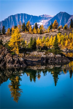 fall trees lake - Rock Isle Lake in Autumn with Mountain Range in Background, Mount Assiniboine Provincial Park, British Columbia, Canada Photographie de stock - Rights-Managed, Code: 700-06465482