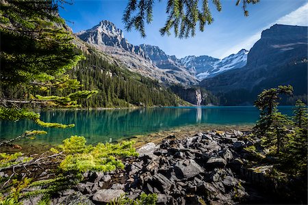 fall trees lake - Rocky Shoreline and Mountain Vista at Lake O'Hara, Yoho National Park, British Columbia, Canada Photographie de stock - Rights-Managed, Code: 700-06465517