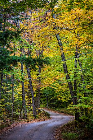 Fowlers Mill Road through Forest, near Chocorua Lake, Tamworth, New Hampshire, USA Stock Photo - Rights-Managed, Code: 700-06465673