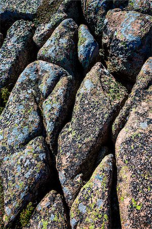 Close-Up of Lichen-Coverd Rocks Stock Photo - Rights-Managed, Code: 700-06465708