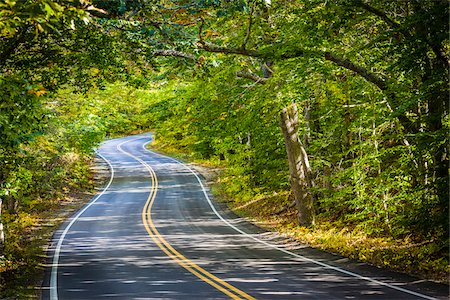 road - Windy Road Through Forest, Race Point, Cape Cod, Massachusetts, USA Foto de stock - Con derechos protegidos, Código: 700-06465810