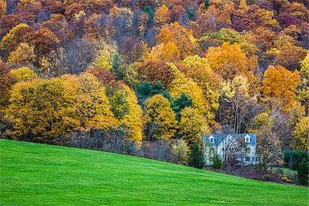 solitude - Country House in Forest by Green Field, Lenox, Berkshire County, Massachusetts, USA Stock Photo - Rights-Managed, Code: 700-06465825