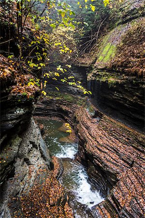 simsearch:700-06465631,k - Creek and Gorge Through Watkins Glen State Park, Schuyler County, New York State, USA Stock Photo - Rights-Managed, Code: 700-06465845