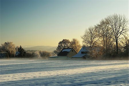 farmyard - Rural Winter Scene with Snow Covered Farm, near Villingen-Schwenningen, Baden-Wuerttemberg, Germany Foto de stock - Con derechos protegidos, Código: 700-06505759