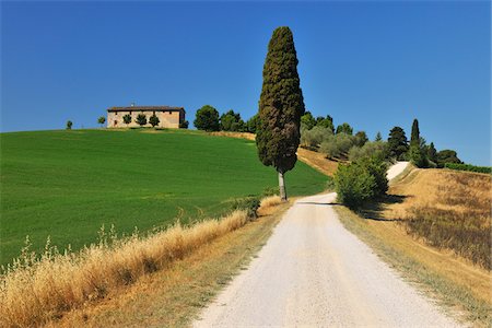 Rural Road with Cypress Tree in the Summer, Monteroni d'Arbia, Province of Siena, Tuscany, Italy Stock Photo - Rights-Managed, Code: 700-06512919