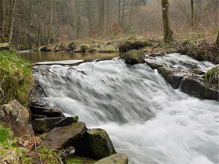 Rushing Waterfall in Forest Stream in Spring, France Foto de stock - Con derechos protegidos, Código: 700-06531939