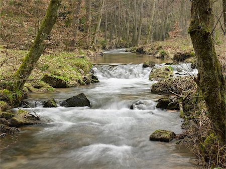 Running Stream and Waterfalls Through Forest in Spring, France Foto de stock - Con derechos protegidos, Código: 700-06531940
