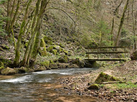 spring (body of water) - Wooden Bridge across Flowing Stream in Forest in Spring, France Stock Photo - Rights-Managed, Code: 700-06531941