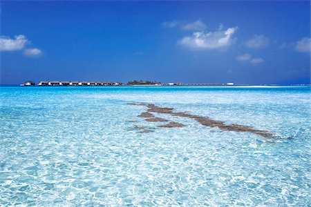 scenic and tropical - Clear Water and Resort, Suvadiva Atoll, Maldives, Indian Ocean Stock Photo - Rights-Managed, Code: 700-06685224