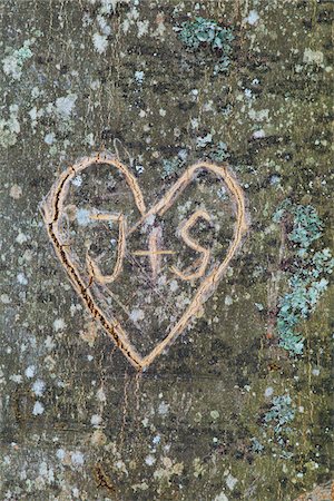 Heart and initials carvings on tree trunk Stock Photo - Rights-Managed, Code: 700-06713972