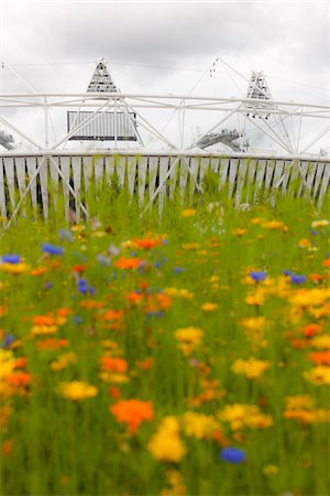 simsearch:700-06773205,k - flowers in bloom around the 2012 summer olympic stadium, stratford, london, UK Stock Photo - Rights-Managed, Code: 700-06773202