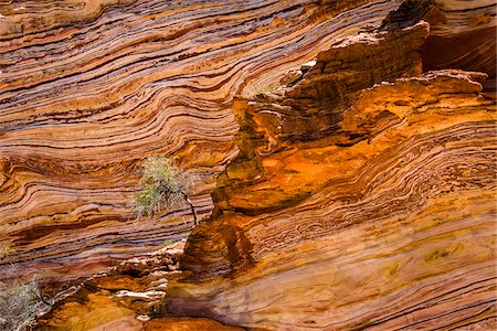 patterns in landscape - Lone Tree and Striped Rock Patterns, The Loop, Kalbarri National Park, Western Australia, Australia Stock Photo - Rights-Managed, Code: 700-06841554