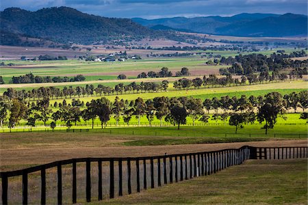 farm fence - Stud farms near Denman, New South Wales, Australia Stock Photo - Rights-Managed, Code: 700-06899981