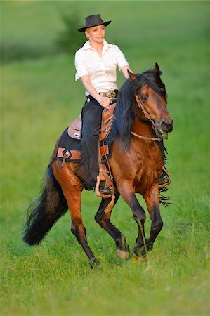 stirrup - Young woman riding a Connemara stallion on a meadow, Germany Stock Photo - Rights-Managed, Code: 700-06900028