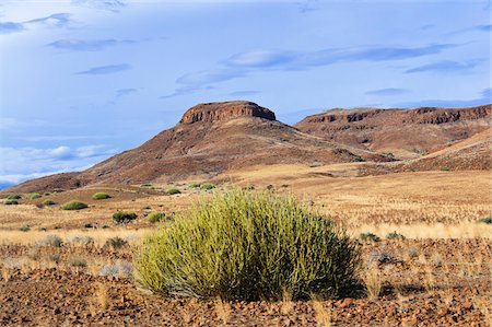 rough dry land - Huab River Valley area, Damaraland, Kunene Region, Namibia, Africa Stock Photo - Rights-Managed, Code: 700-07067181