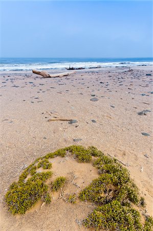 deserted beach - Shipwreck remains, Skeleton Coast, Namib Desert, Namibia, Africa Stock Photo - Rights-Managed, Code: 700-07067200
