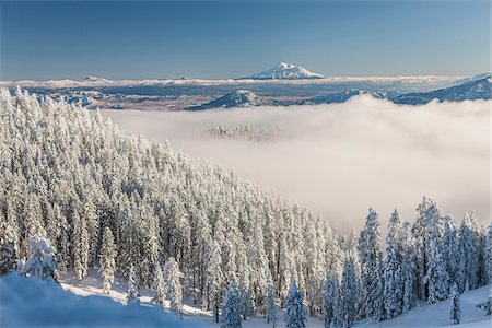 southern california - View of Mount Shasta form Mount Ashland, Southern Orgon, USA Photographie de stock - Rights-Managed, Code: 700-07067218