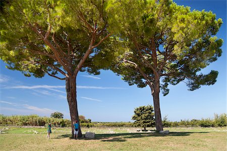 Tourists under Trees, Paestum, Campania, Italy Stock Photo - Rights-Managed, Code: 700-07204018