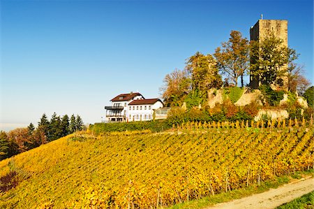 Castle Alt-Windeck, Ortenau, Baden Wine Route, Baden-Wurttemberg, Germany Foto de stock - Con derechos protegidos, Código: 700-07202707